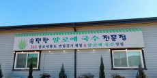 속편한알로에국수맛집 대표사진