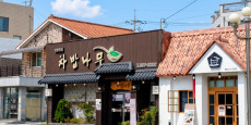 차밥나무 대표사진