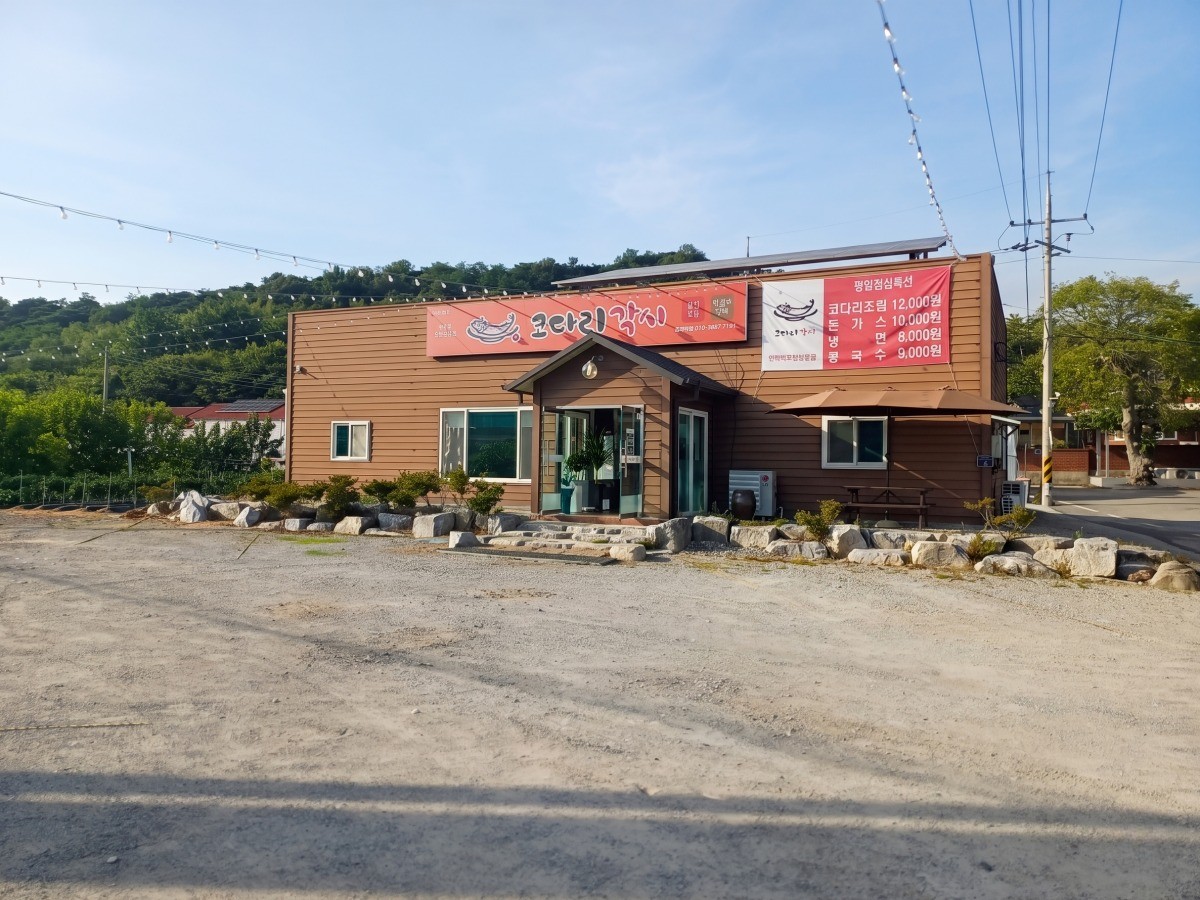 코다리각시 대표사진