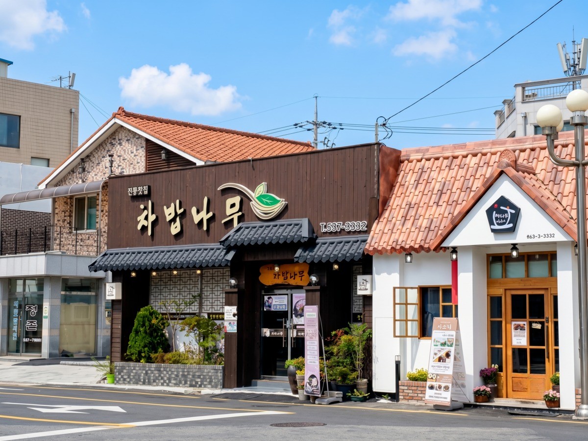 차밥나무 대표사진
