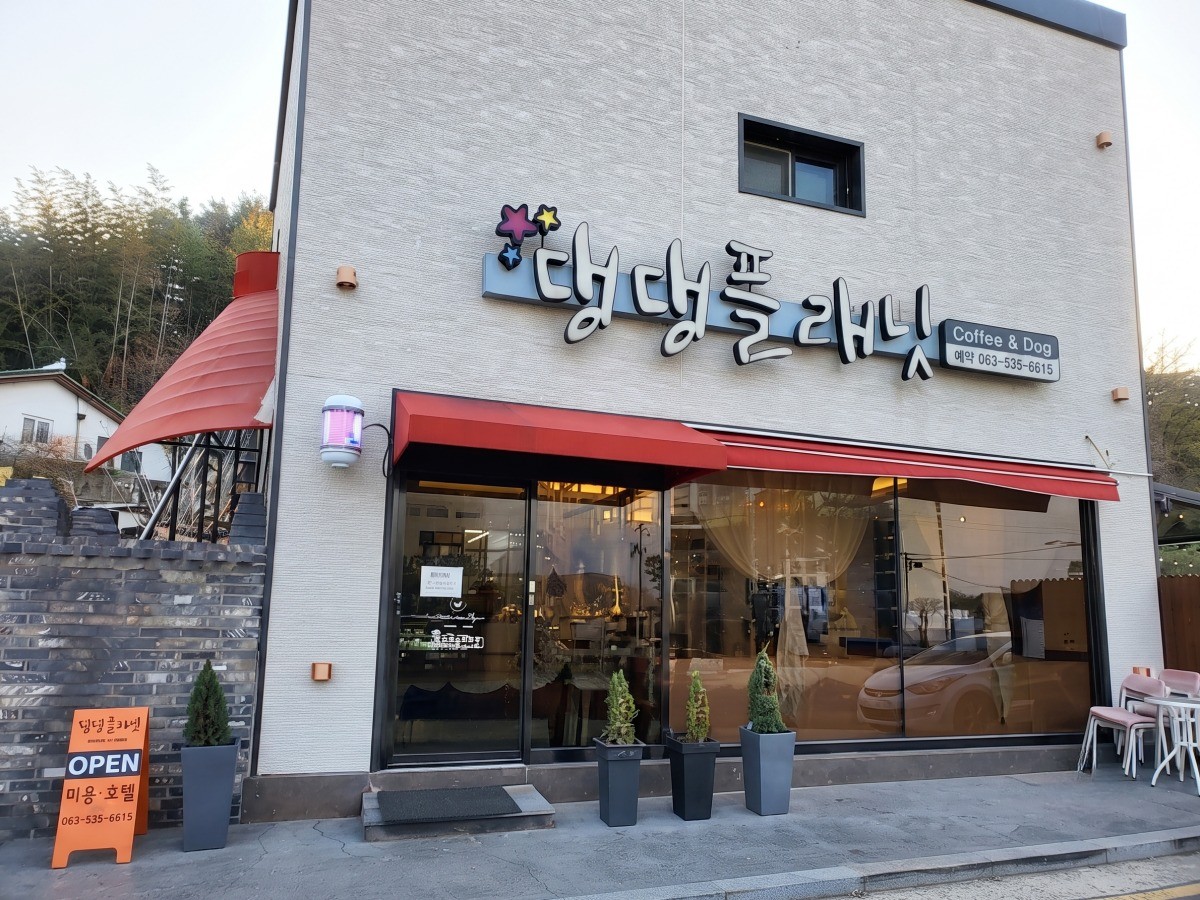 댕댕플래닛 대표사진